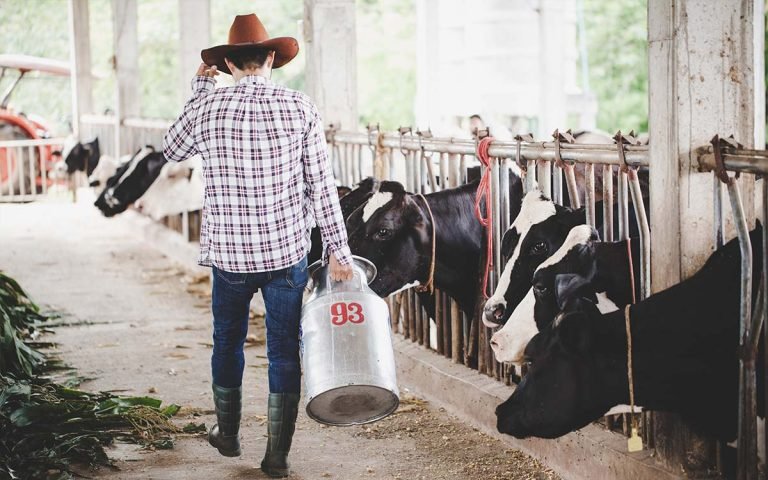 producao-de-leite-e-a-comercializacao-mensal-tem-queda-para-produtor